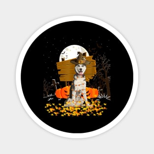 My Siberian Husky Pumpkins Halloween Dog Magnet